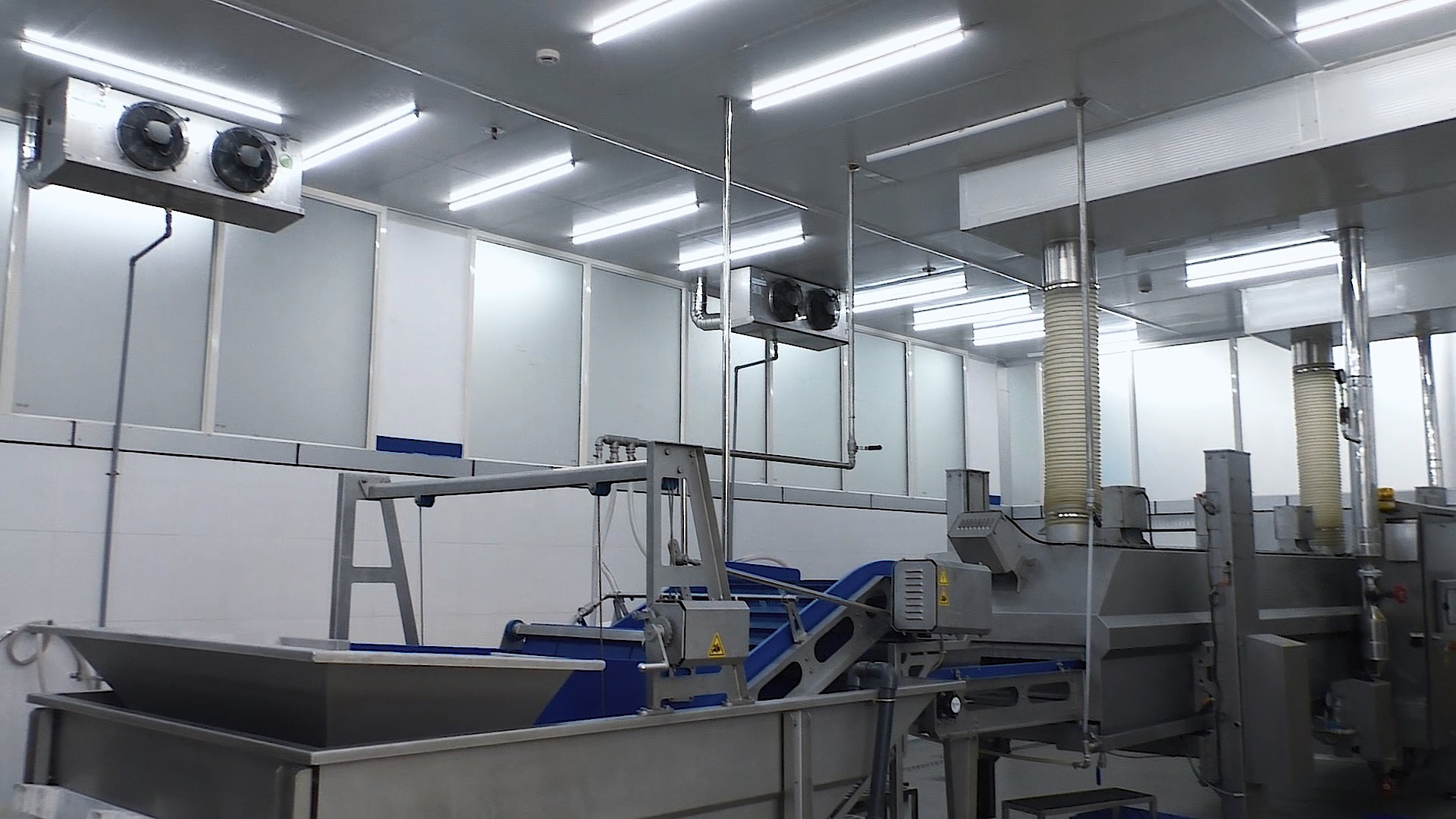 Sea Food Fish Blast Freezing and Freezer Room